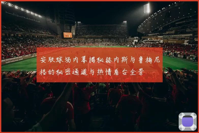 安联球场内幕揭秘赫内斯与鲁梅尼格的秘密通道与热情看台全景